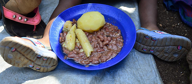The promise of beans in the fight against malnutrition