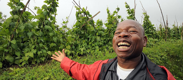 Climbing beans reach new heights in Rwanda