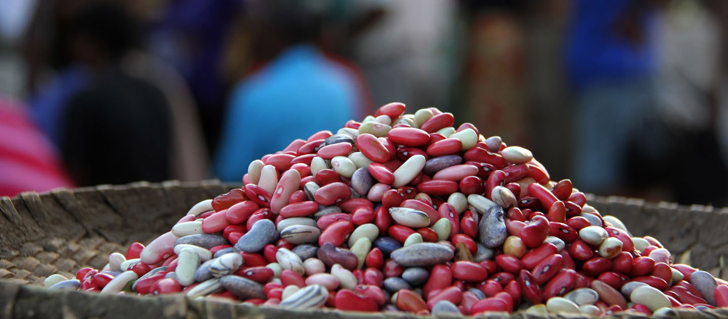 New PABRA Infographic: Better beans to enhance food security, incomes, and health in Africa