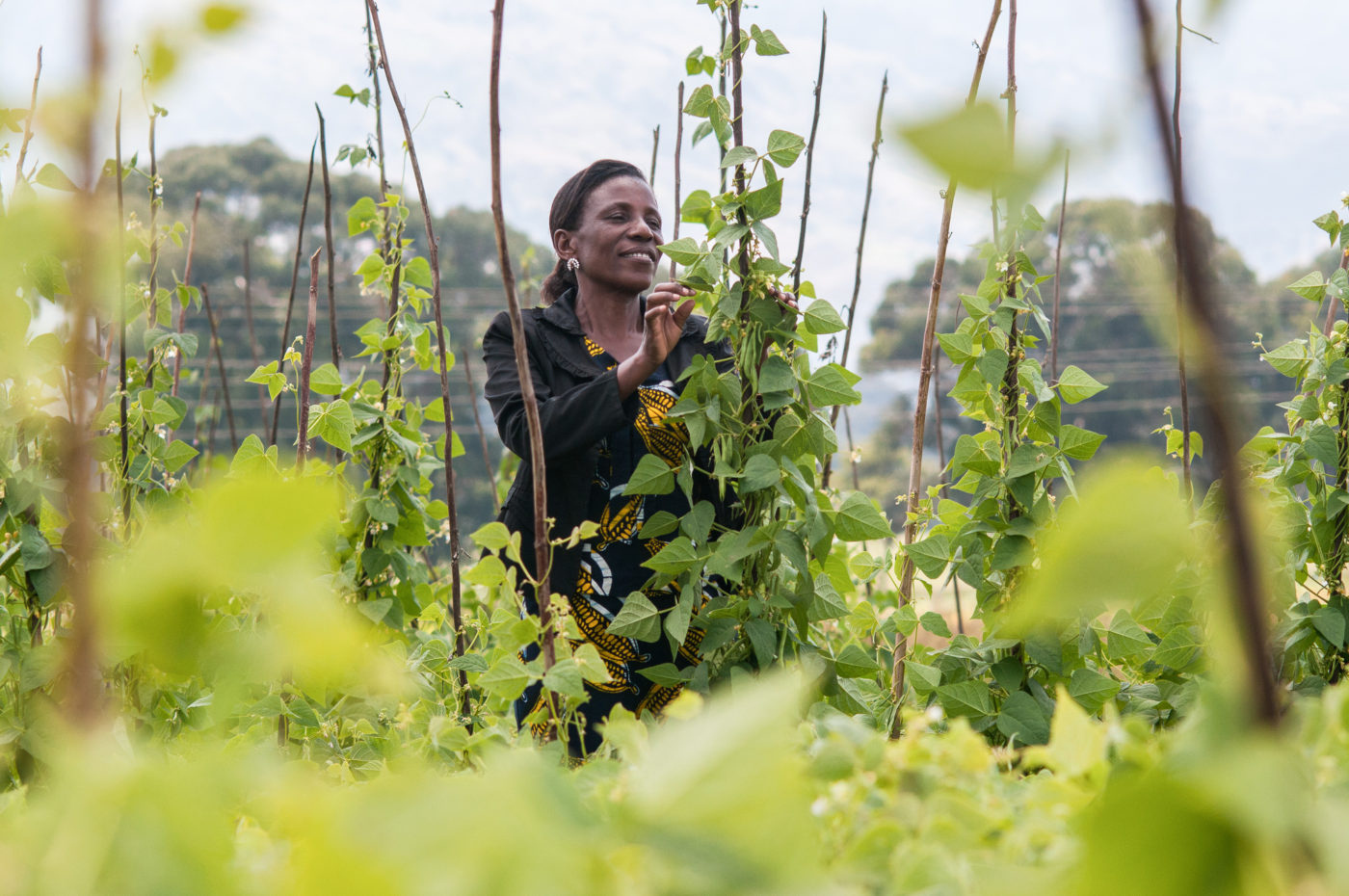 Mary Ndimbo, Bean Breeder, Uyole Agricultural Research Institute, Tanzania