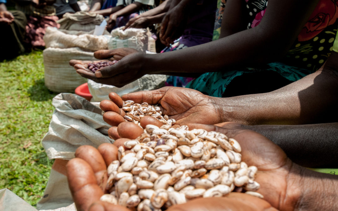 Closing the gender gap in farming households: An entry point towards agricultural transformation in Africa