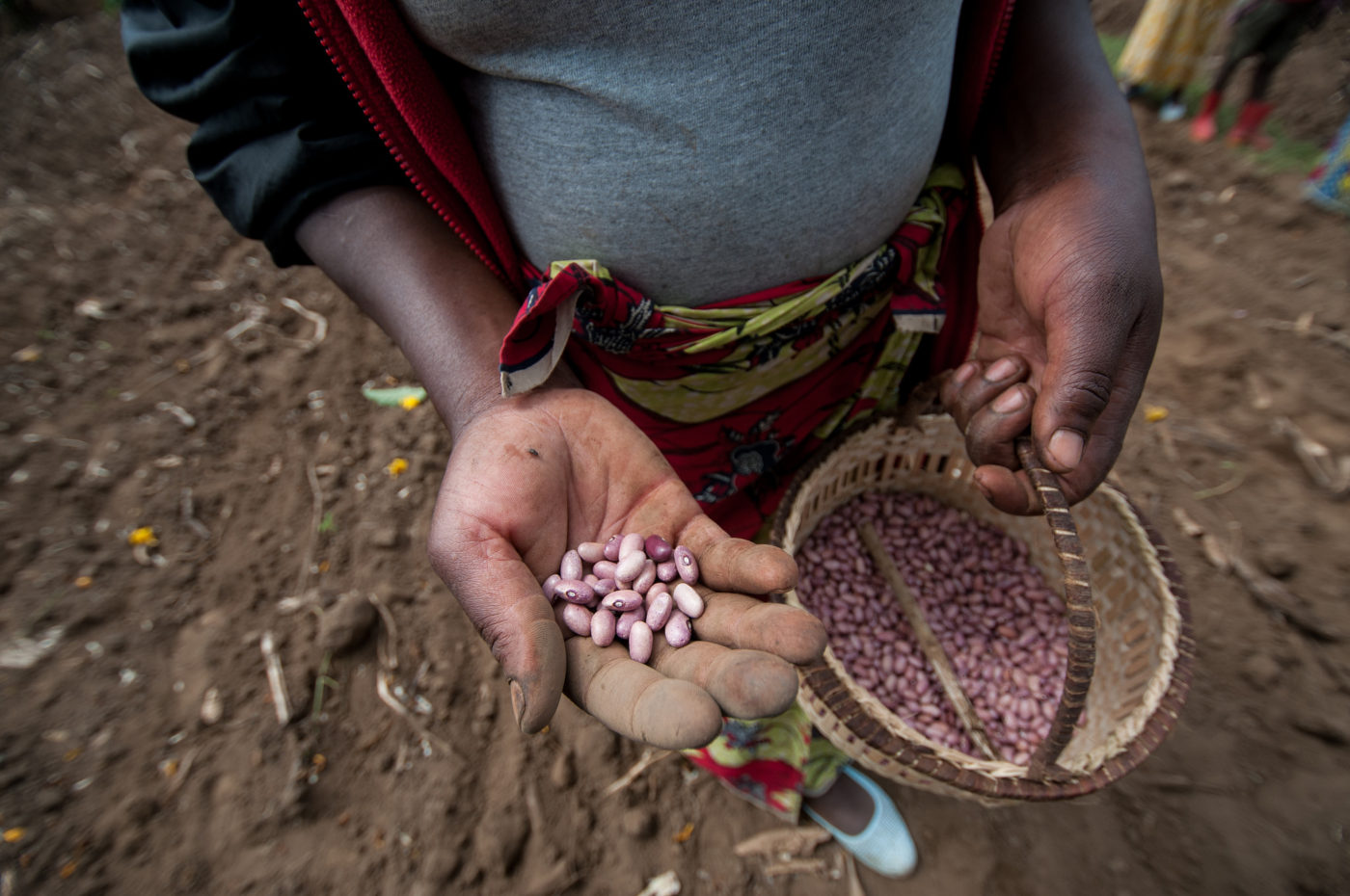 Why getting the right food on the table is central not just to the health of our children, but to the health of our continent