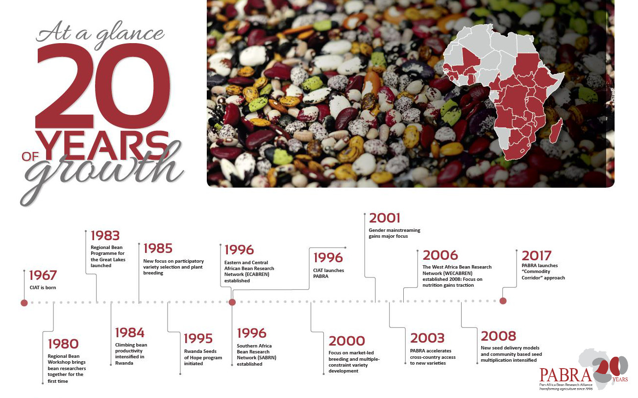PABRA20 Timeline: At a Glance – 20 Years of Growth