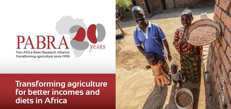 Transforming agriculture for better incomes and diets in Africa