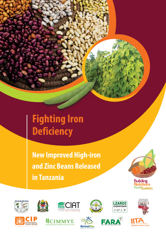 Fighting Iron Deficiency; New Improved High-iron and Zinc Beans Released in Tanzania