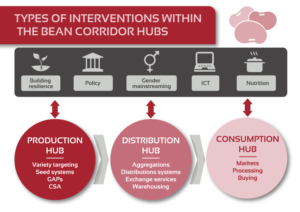 Types of Interventions within the Beans Corridor Hub