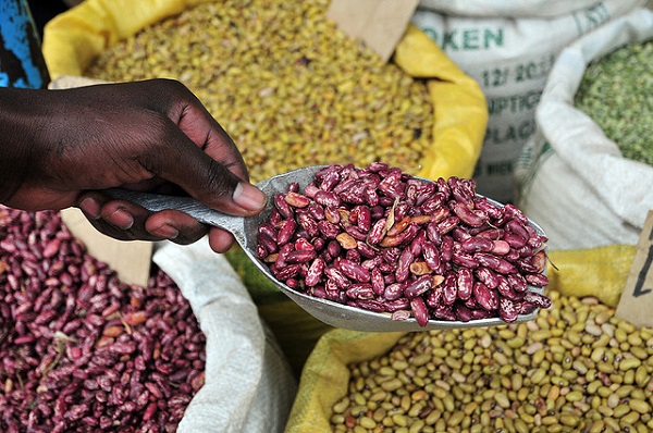 Technologies for Agricultural Transformation in High Iron Bean in Africa
