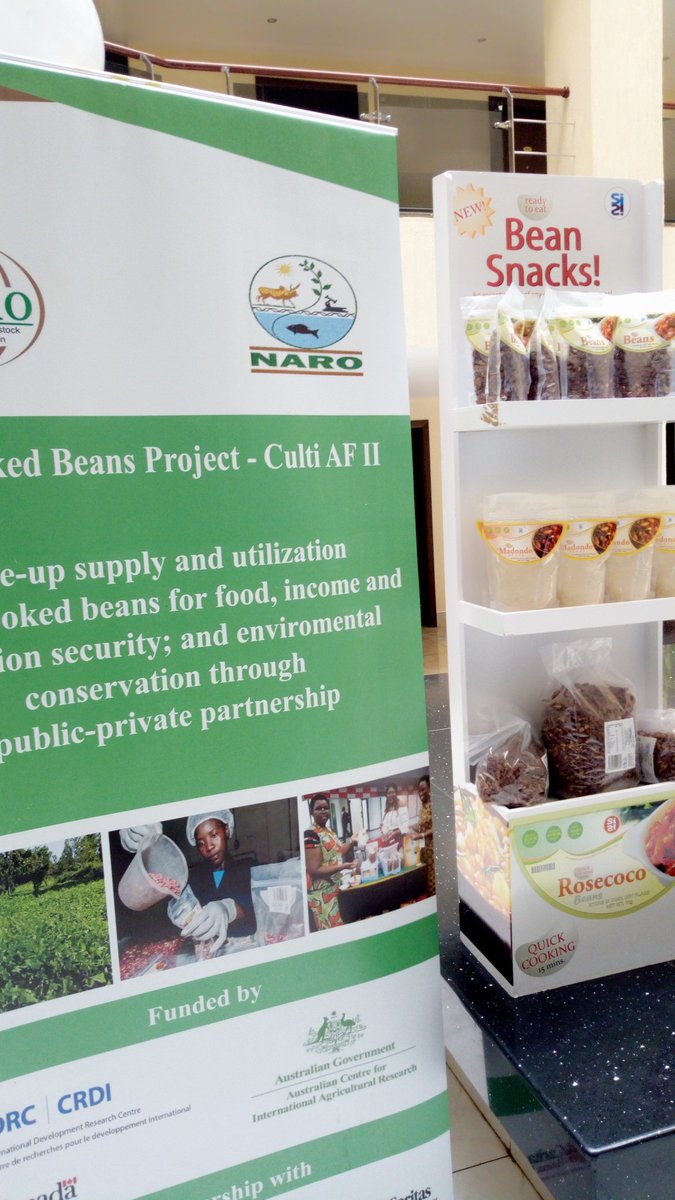 Precooked beans set to reach more households in Africa