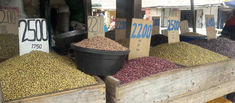Yellow Bean Corridor: Seed & Grain Trade Potential