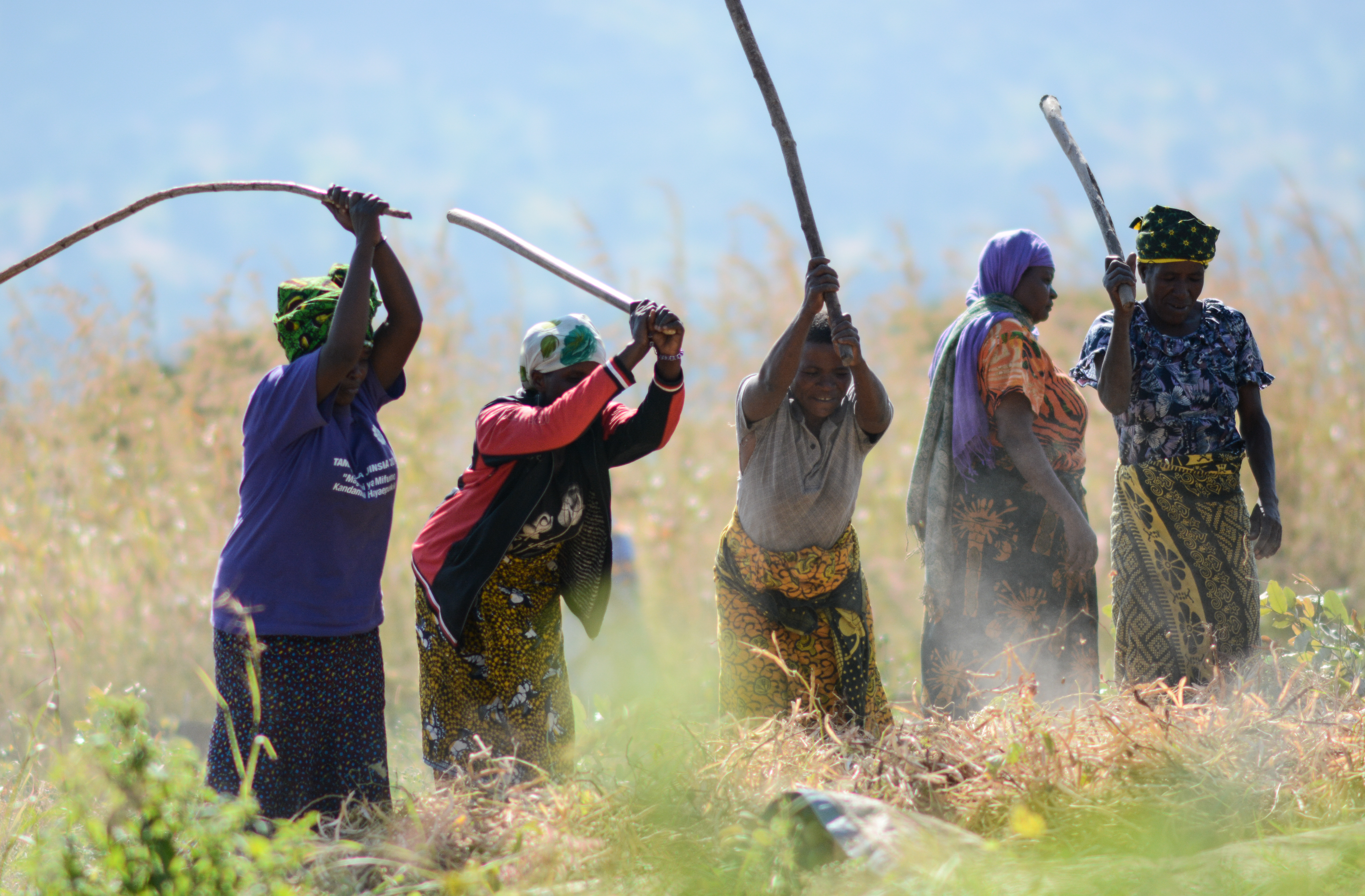 Women Building Resilience In Sub Saharan Africa