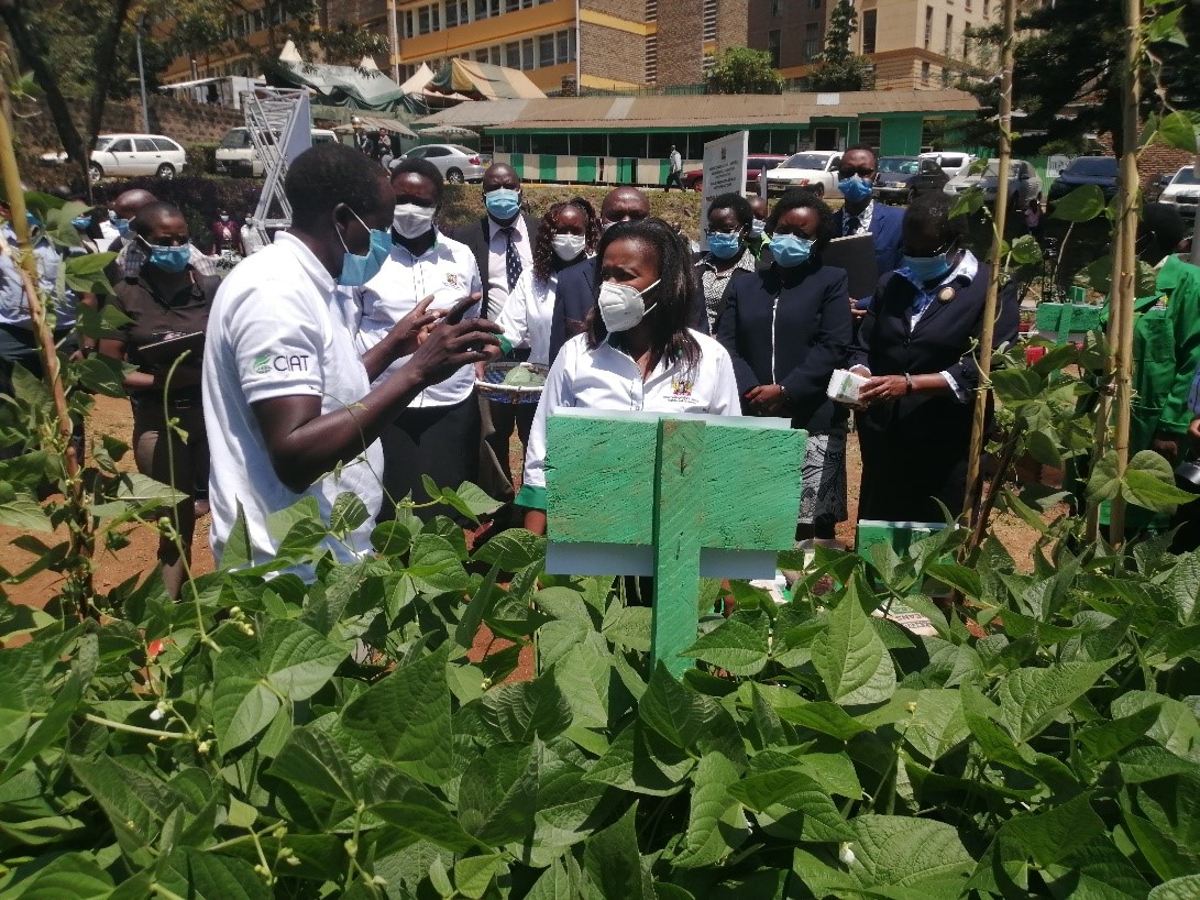 Little spaces promise more food and nutrition security for households in Kenya