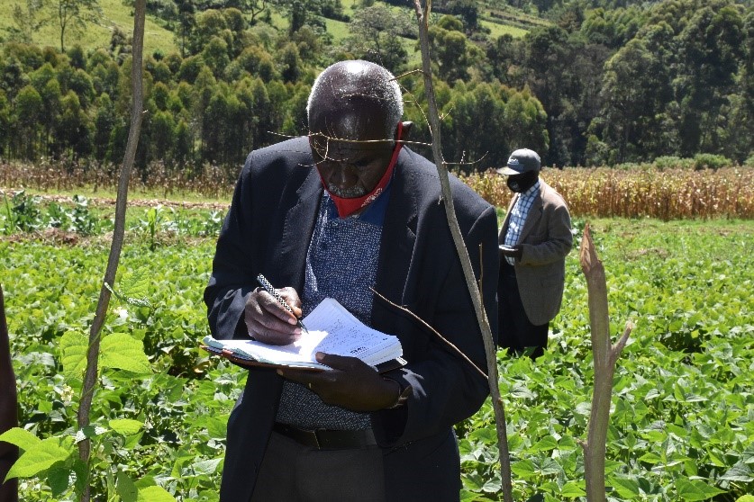 Unlocking the potential of bean production and marketing for improved nutrition and income in Kenya