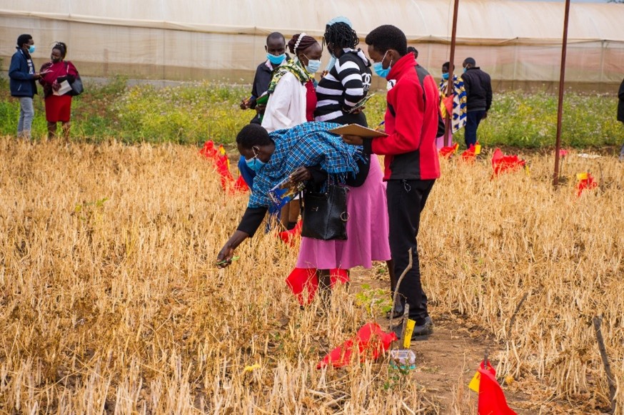 Inclusion, a key ingredient to Gender-Responsive Participatory Varietal Selection