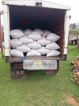 Bean grain loaded in the truck for the market (Photo Courtesy of Paul Omollo)
