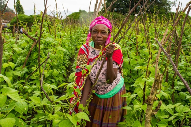 Research and development partnerships to strengthen inclusive and demand driven bean value chain in Rwanda