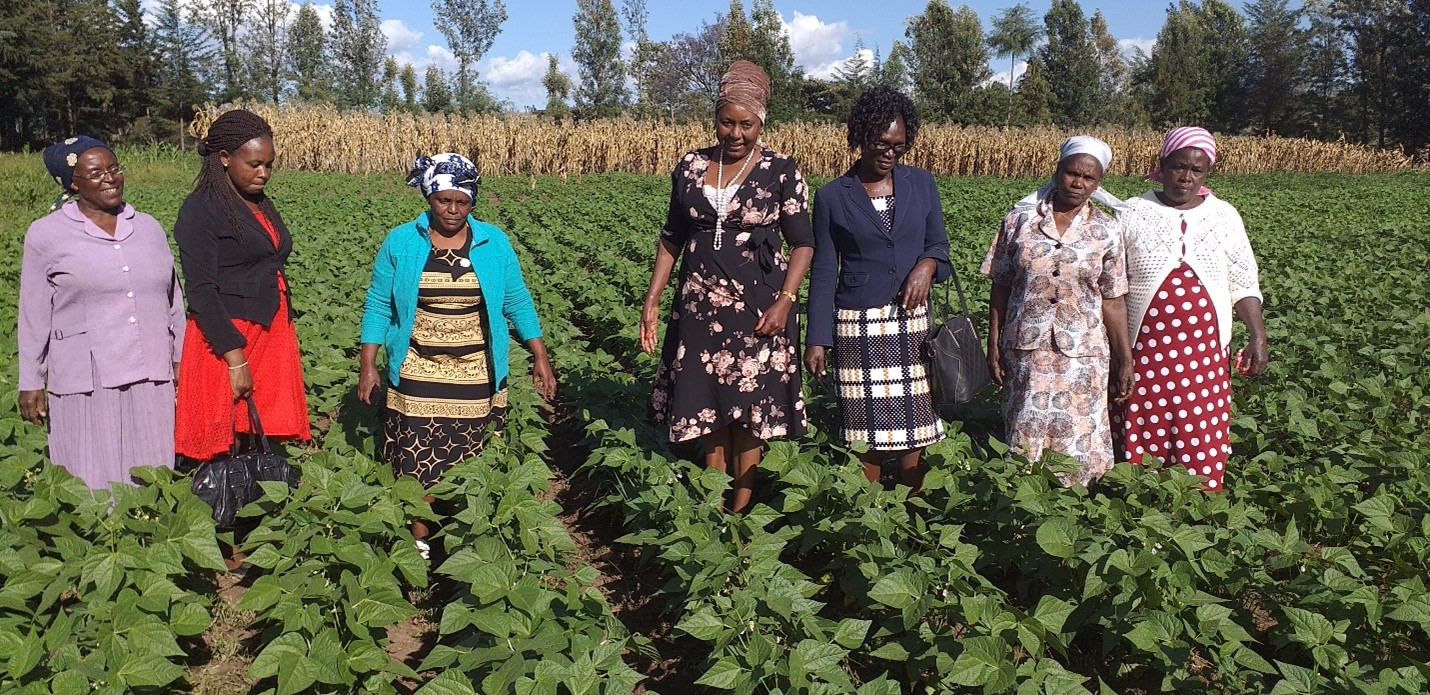 Building resilience for women bean farmers in Kenya in the wake of COVID 19 pandemic