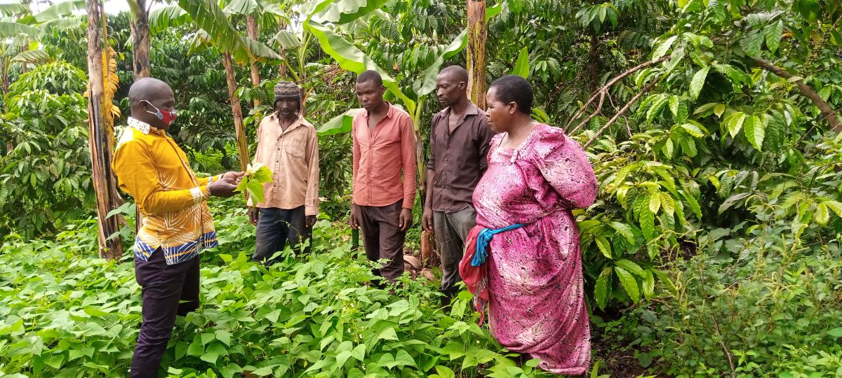 Banking on beans: Improving nutrition and addressing gender inequality in Africa’s bean value chains