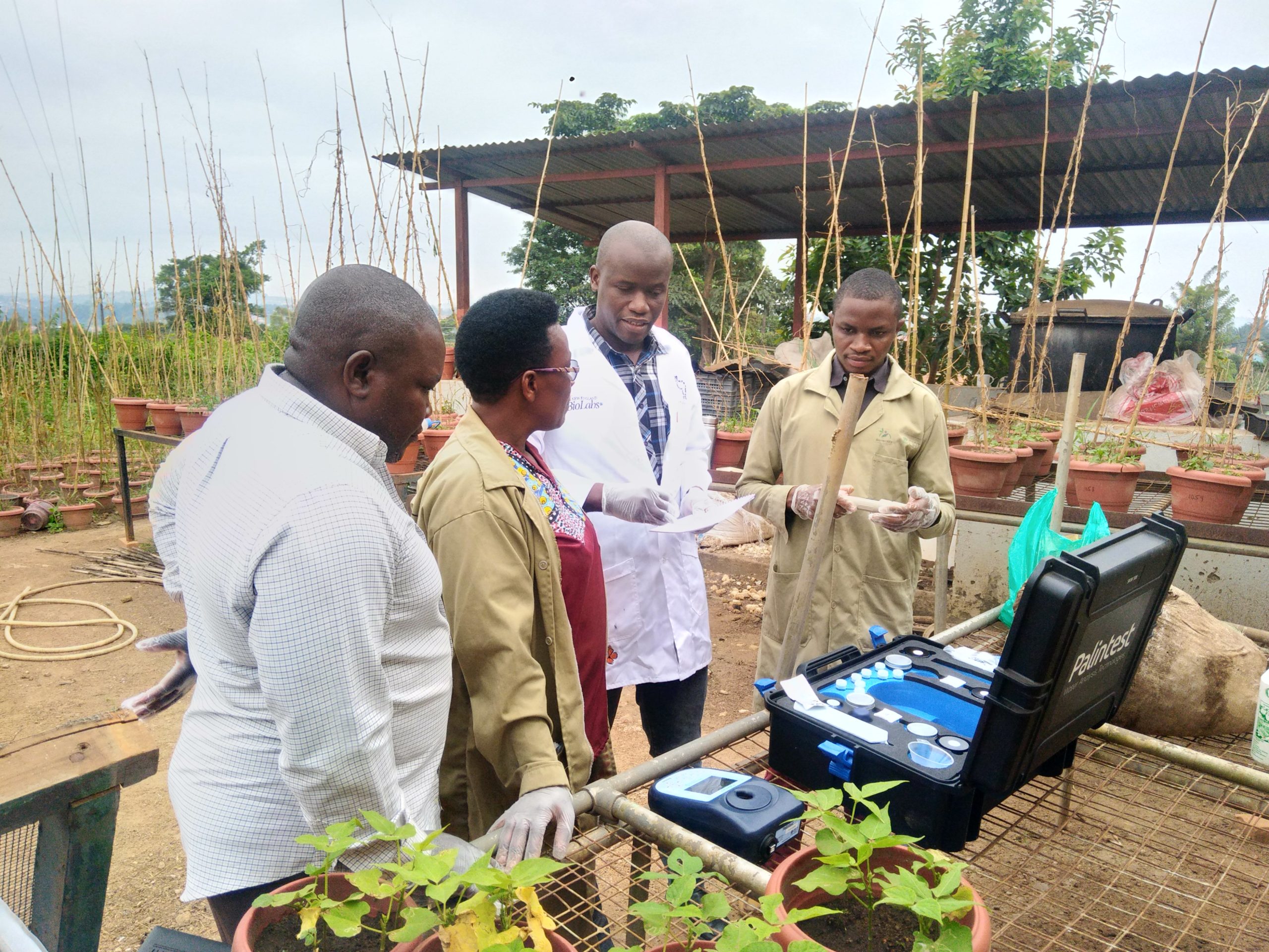 Soil testing platform, a gamechanger in maximizing bean yield for farmers in Uganda