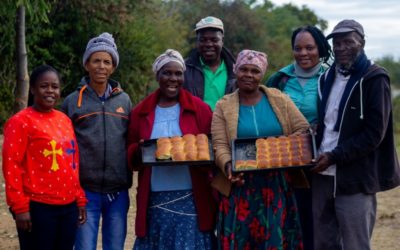 Gender inclusivity: Couples partnering to promote bean business in Zimbabwe