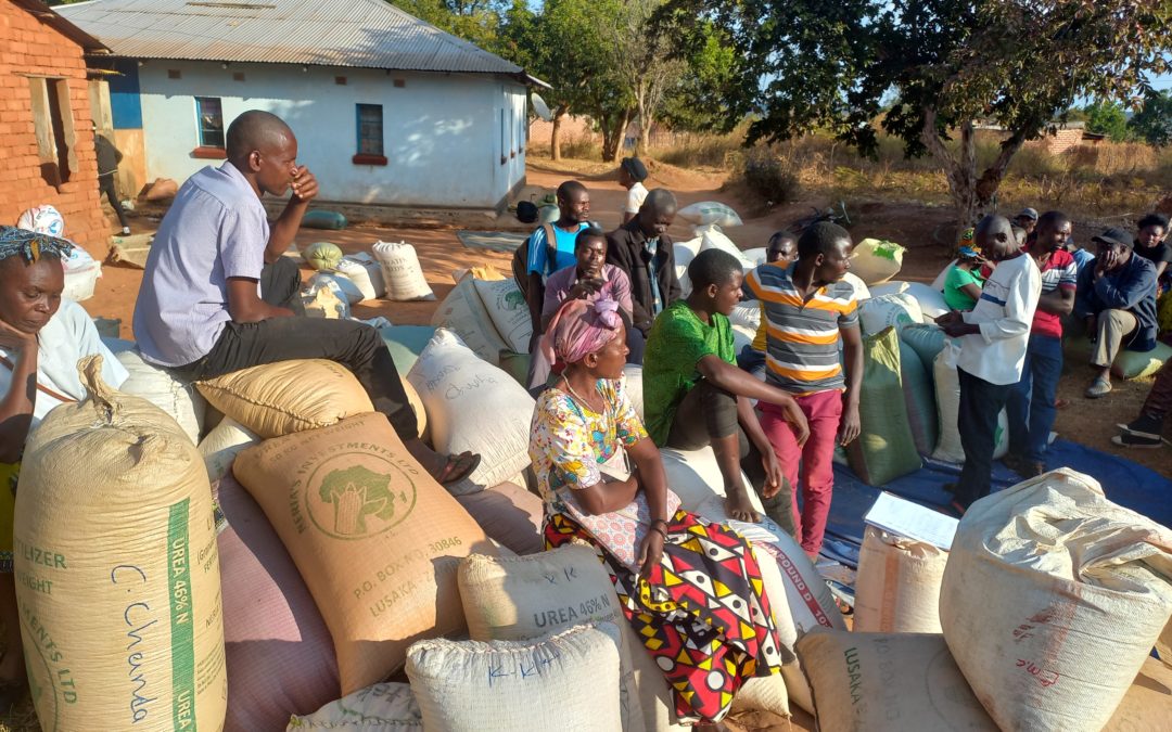 Partnerships improving bean quality for Zambian local export market