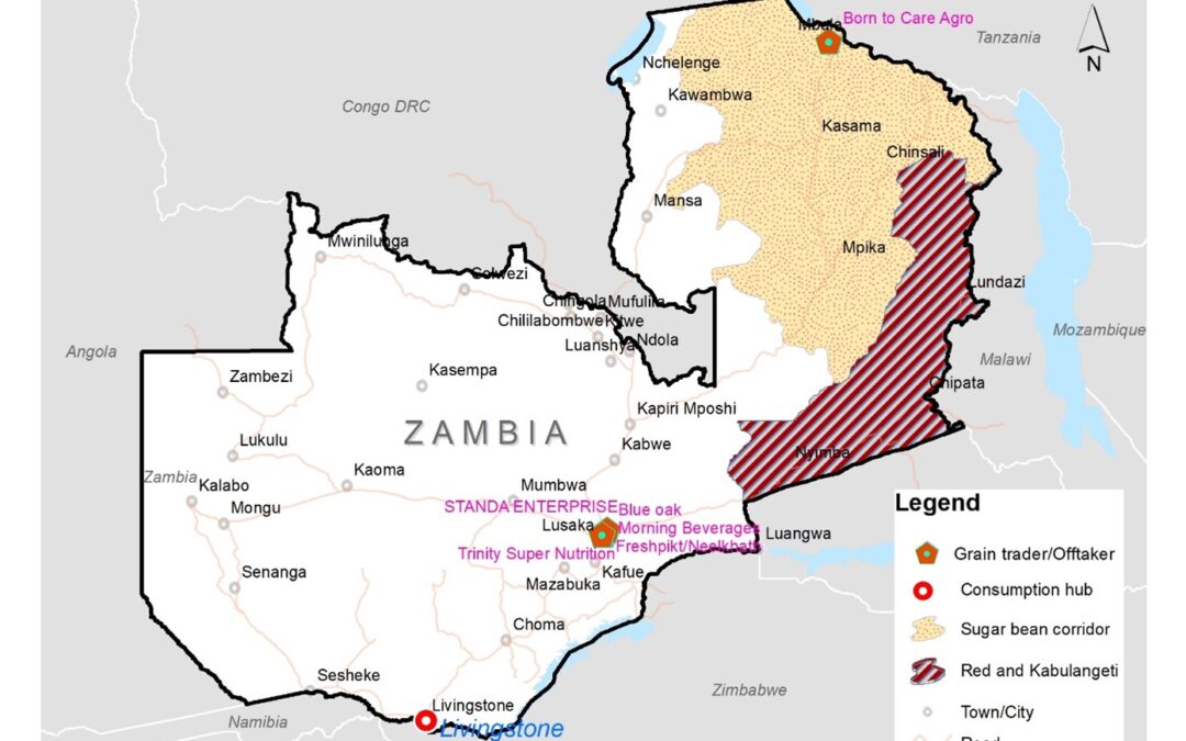 Making the Bean Corridor work: Lessons from Zambia