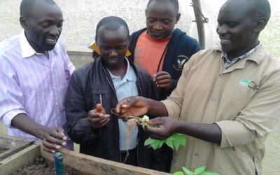 Low-cost phenotyping of root rot diseases for common bean