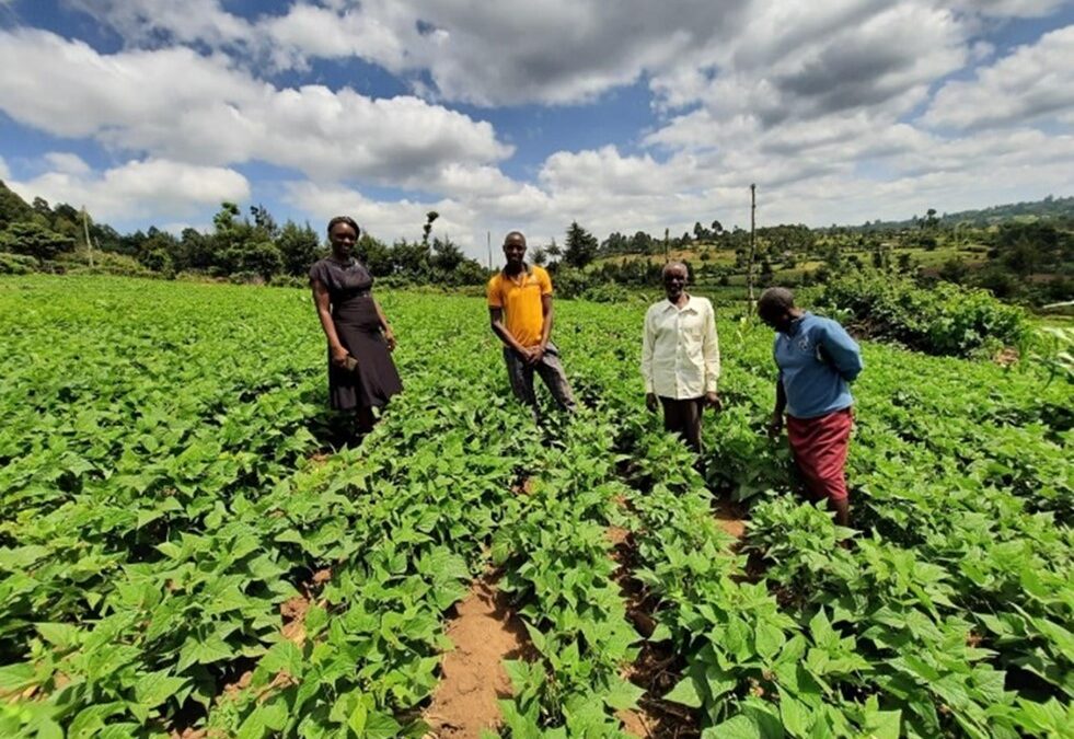 Community fortune changes through bean trade in Kenya