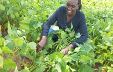 Woman’s seed business boosting community incomes and food security in Rwanda