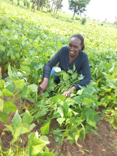 Woman’s seed business boosting community incomes and food security in Rwanda