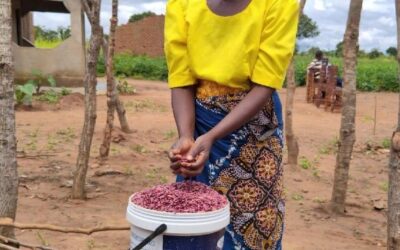 Getting Lifeline Through Improved Bean Variety