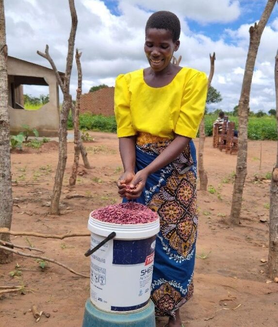 Getting Lifeline Through Improved Bean Variety