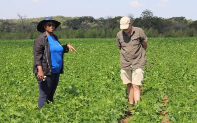 How women entrepreneurs are shaping bean farming in Malawi through Multistakeholder Platforms