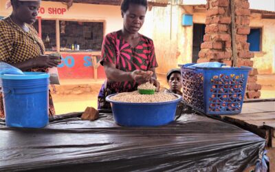 Bean farming potential in Malawi