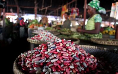 How 650 new bean varieties could help feed people across Africa