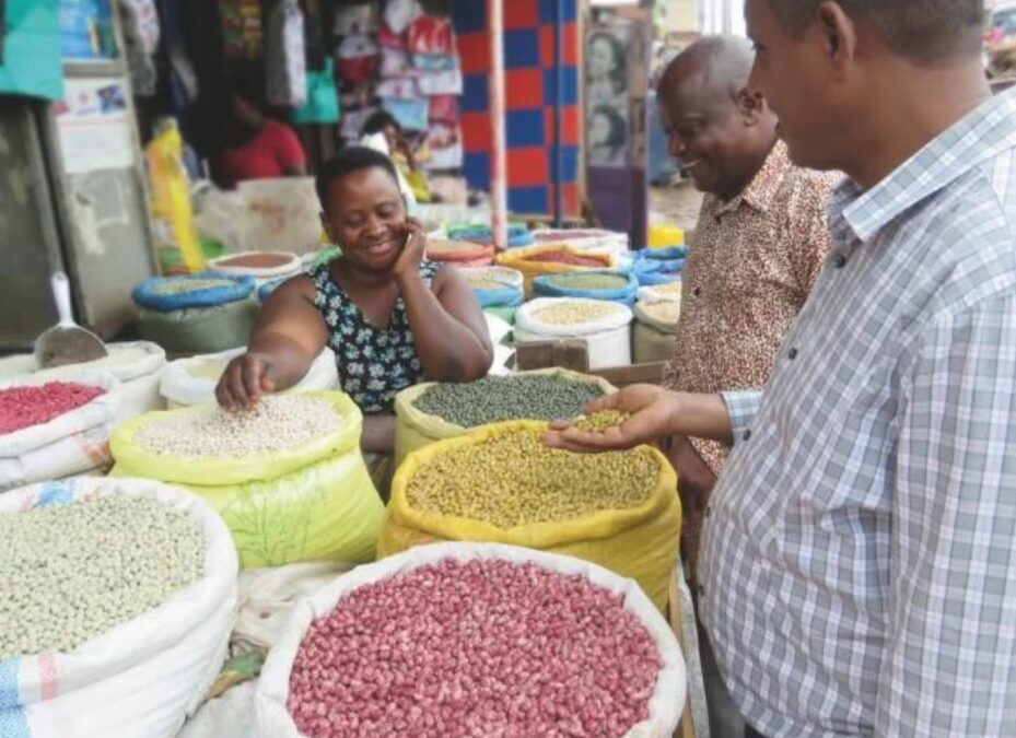 Beans for a Brighter Tomorrow: Nurturing Sustainability in Communities