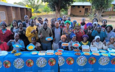 Seeds of Change: Transforming School Meals with Biofortified Crops in Malawi