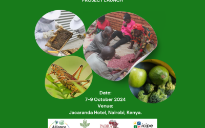 Initiative aiming to boost Africa’s beans, fruits, and insects, sets for launch