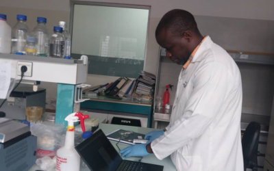 Unraveling the genome: Sequencing with MinION in common bean research
