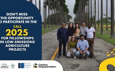 Call for 2025 Fellowships in Low-Emissions Agriculture Projects!