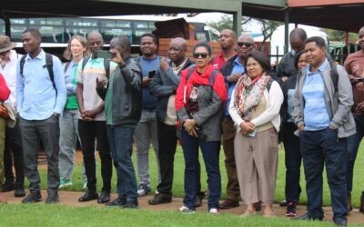 Bean breeders unite to cultivate solutions for Africa’s bean industry