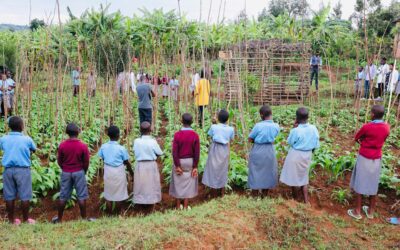 Cultivating health: How school gardens are powering Kigali’s School Feeding Program
