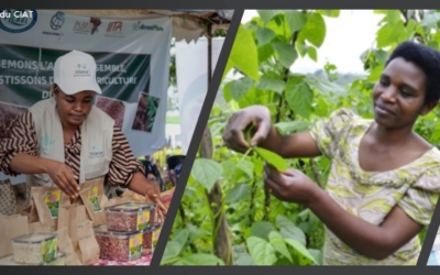 Empowering Africa Through Beans