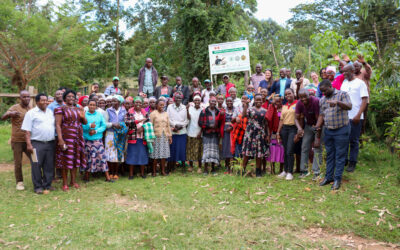 Kenyan Bean farmers embrace beneficial insects, fruit trees to combat climate change