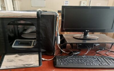 Revolutionizing common bean seed classification with digital innovation
