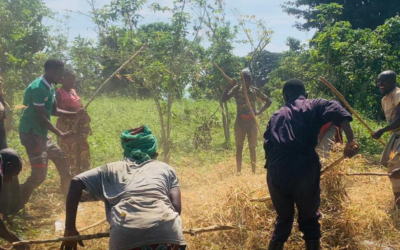 DRC: Women Cultivating Resilience Through Bean Farming in Conflict Zones