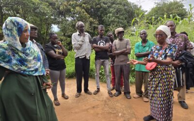Zambian smallholder farmers welcome climate-smart beans-beneficial insects-fruit trees synergy