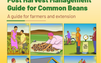 Post harvest management guide for common beans: A guide for farmers and extension