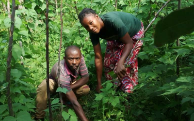 Breaking Barriers: A journey of transformation towards gender equality