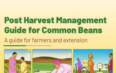 Post harvest management guide for common beans: A guide for farmers and extension