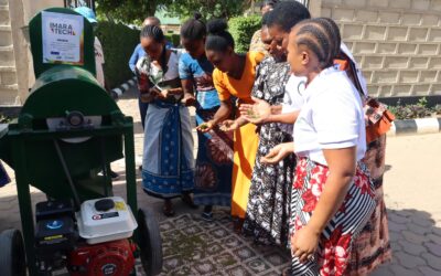 From burden to opportunity: Mechanization in rural Tanzania